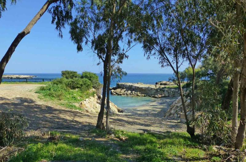Amber - Coralli Beachfront Apartment - image 13