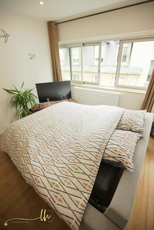 Chaleureux lumineux et confortable F2 rénové en plein coeur de Nancy - image 25