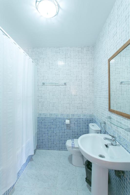 One-Bedroom Apartment image 1