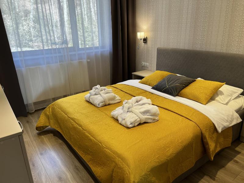 One-Bedroom Apartment with Balcony and Mountain View   image 3