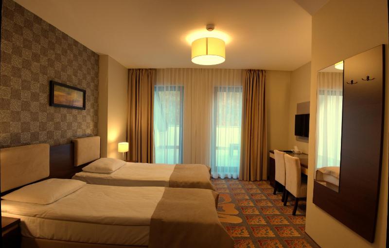 Standard Twin Room image 3