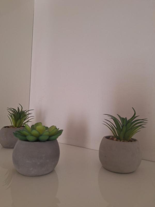 Standard Studio image 4