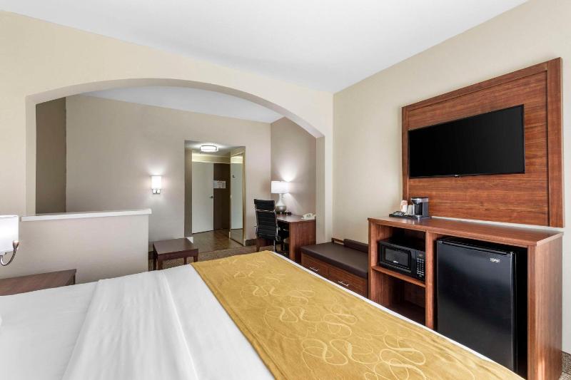 King Suite with Sofa-Bed - Non-Smoking image 4