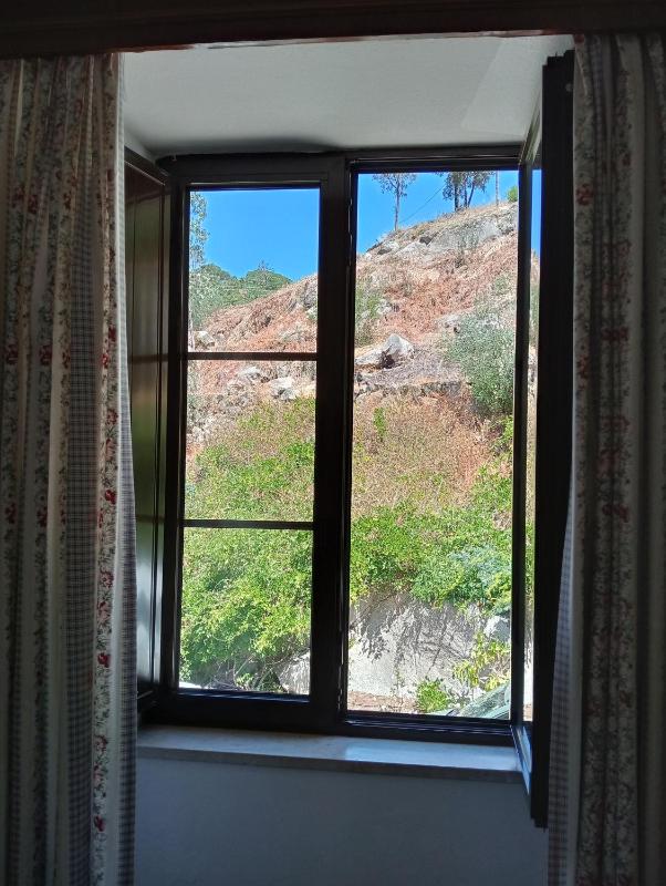 Standard Double Room image 3