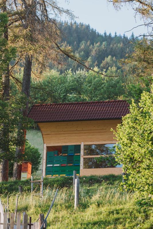 Quadruple Room image 4