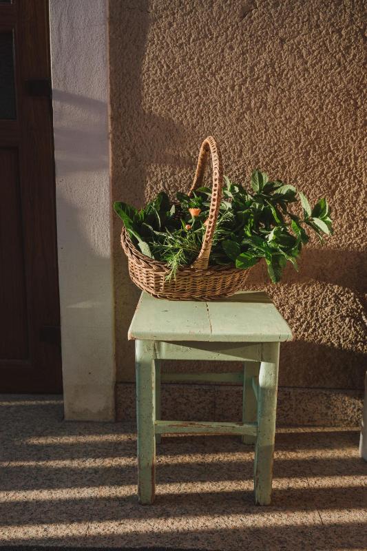 Quadruple Room image 2