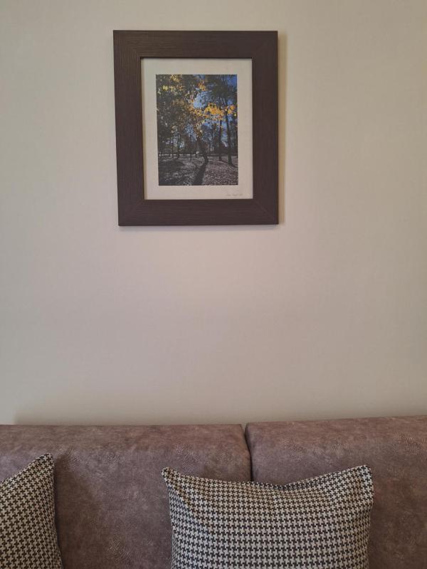 Two-Bedroom Apartment image 4