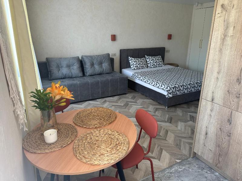 One-Bedroom Apartment image 4