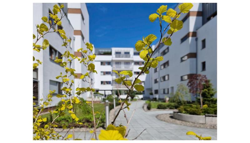 visit baltic - Platan Apartament Ster - image 31