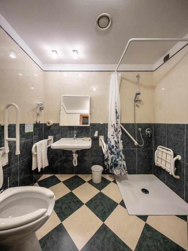 King Room with Roll-In Shower - Disability Access image 3