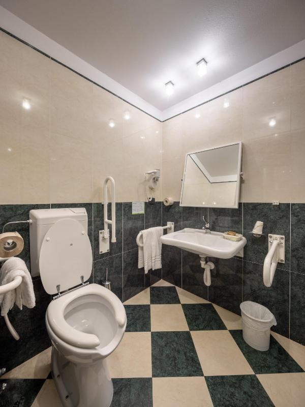 King Room with Roll-In Shower - Disability Access image 2