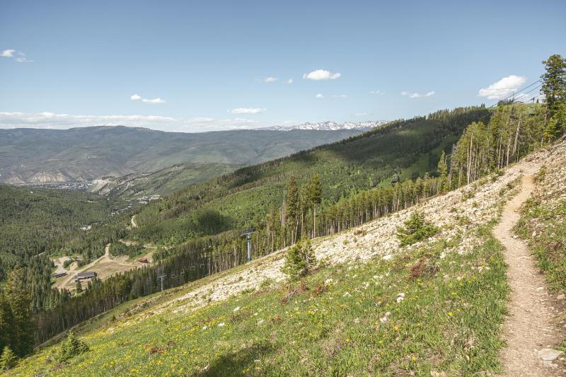 Elkhorn 509 - image 25
