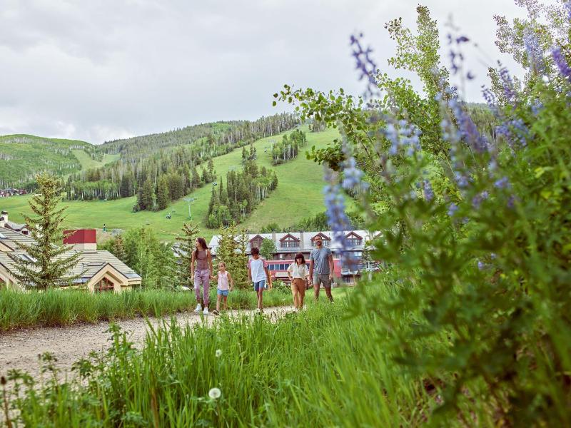 Three-Bedroom Apartment image 3