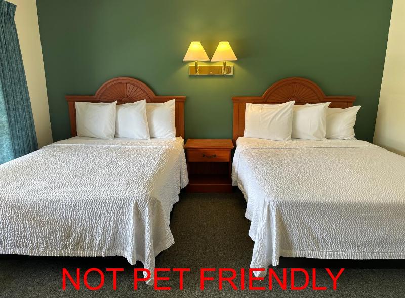 Standard Queen Room with Two Queen Beds image 2