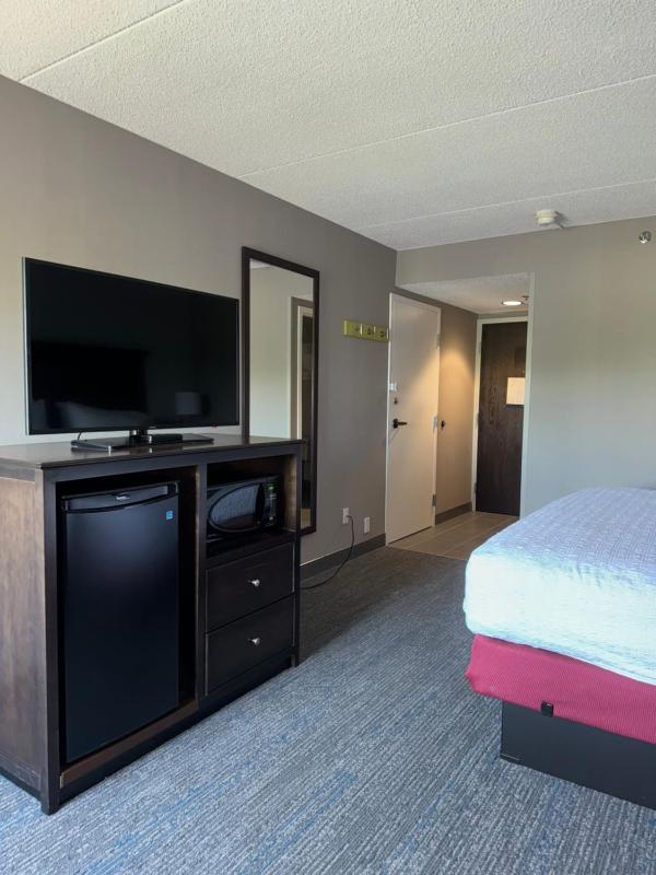 King Room with Sofa Bed - Non-Smoking image 2