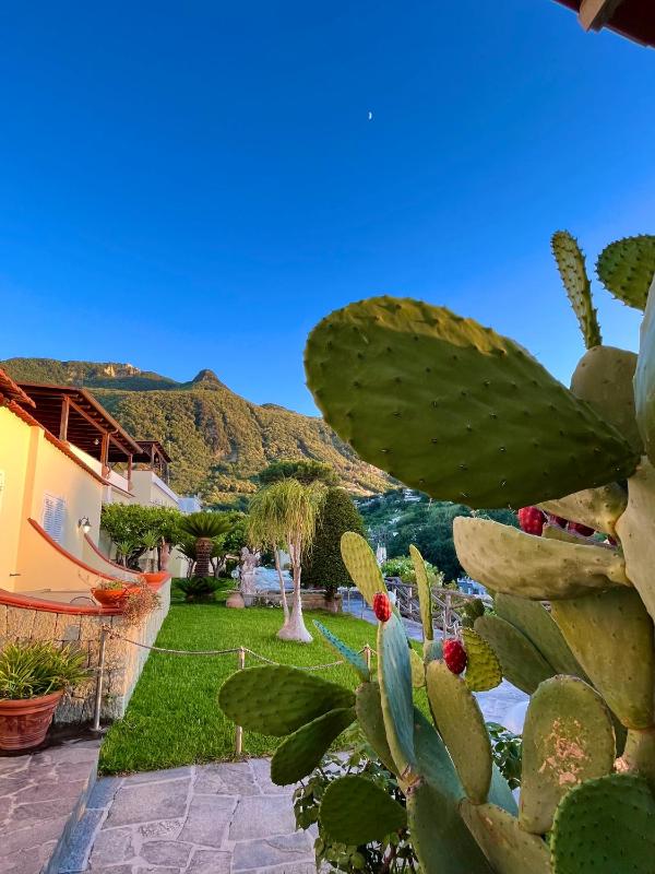 Resort Villa Flavio - image 15