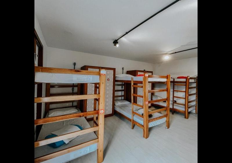 Pup Hostel SC - image 31