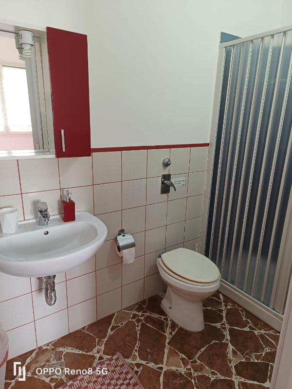 Il Fenicottero - image 7