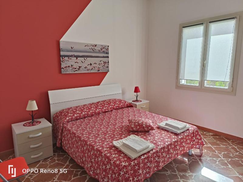 Il Fenicottero - image 47