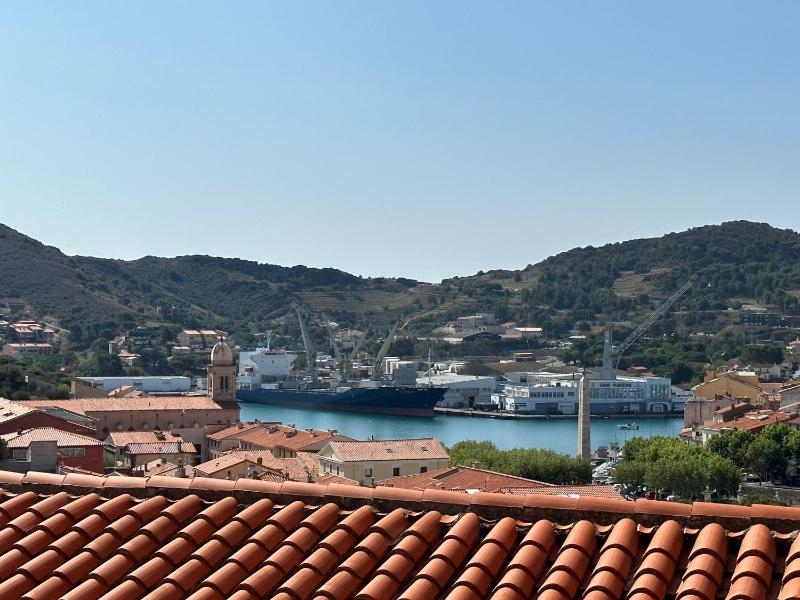 Port-Vendres - T2 avec double terrasse et parking privatif - FR-1-309-469 Images