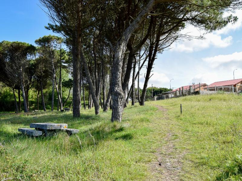 Bungalows Barbeito Natur 3000 - image 8