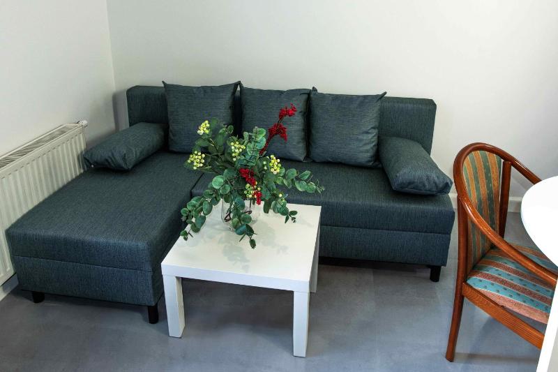One-Bedroom Standard Apartment image 4