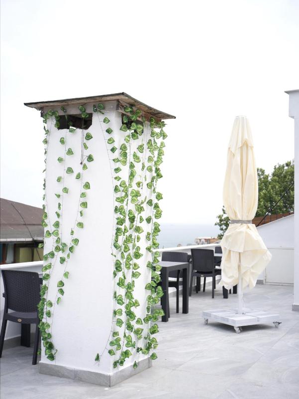 Hotel Ravi - image 16