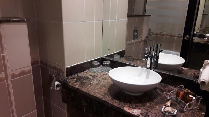 Standard Twin Room image 4