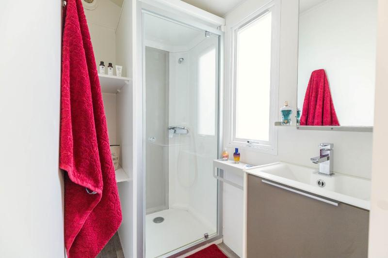 Mobile Home image 4