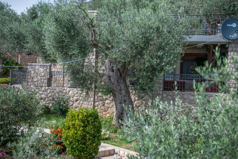 Rustic Olive House - image 9