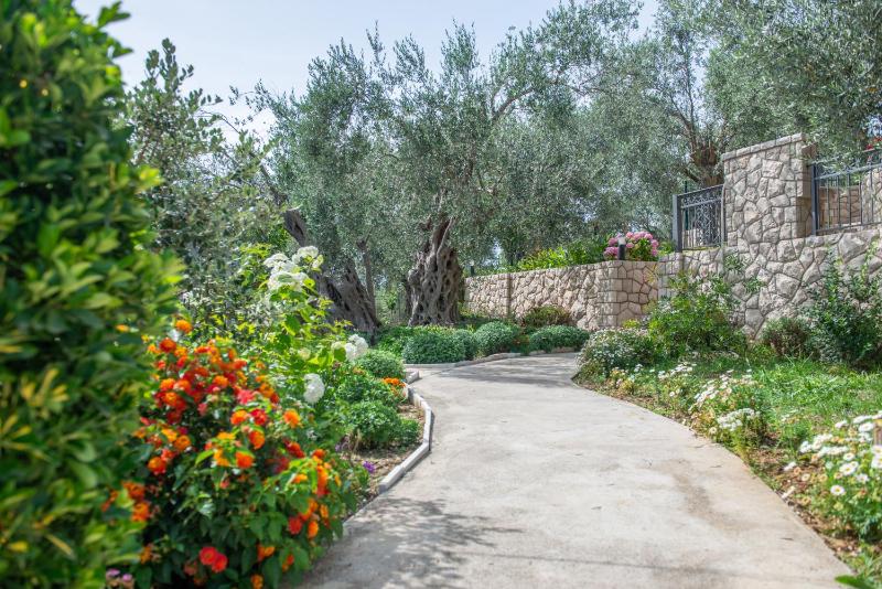 Rustic Olive House - image 13