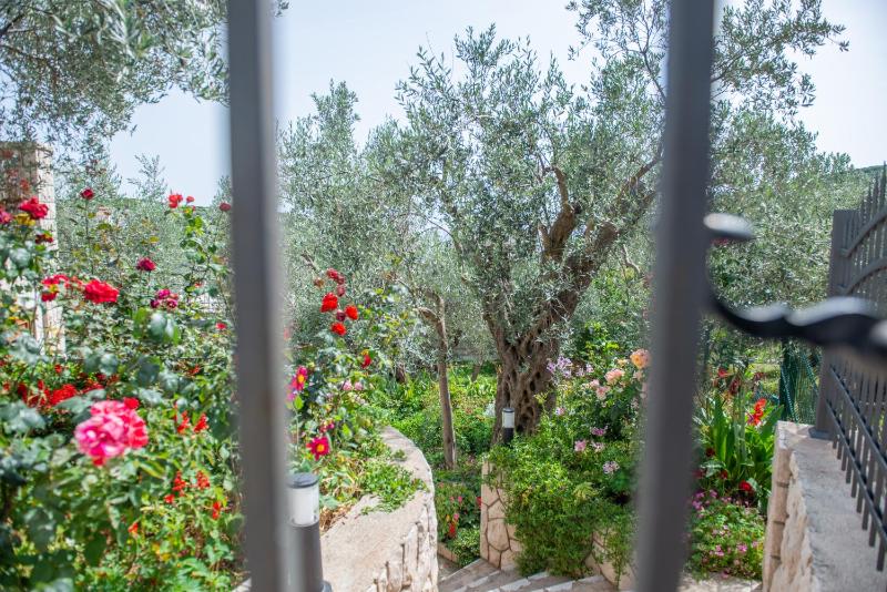 Rustic Olive House - image 8