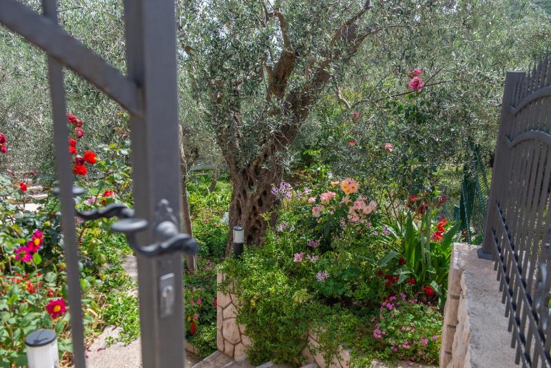 Rustic Olive House - image 11