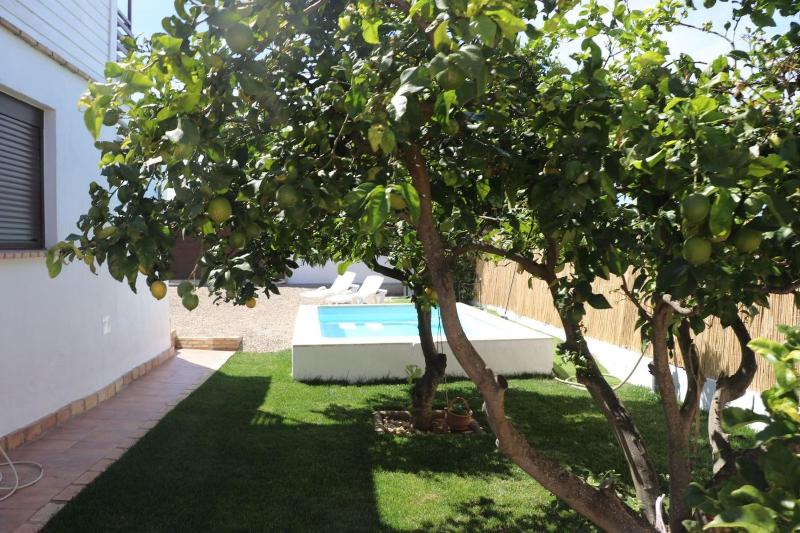 Casa Abuelo Miguel - image 27