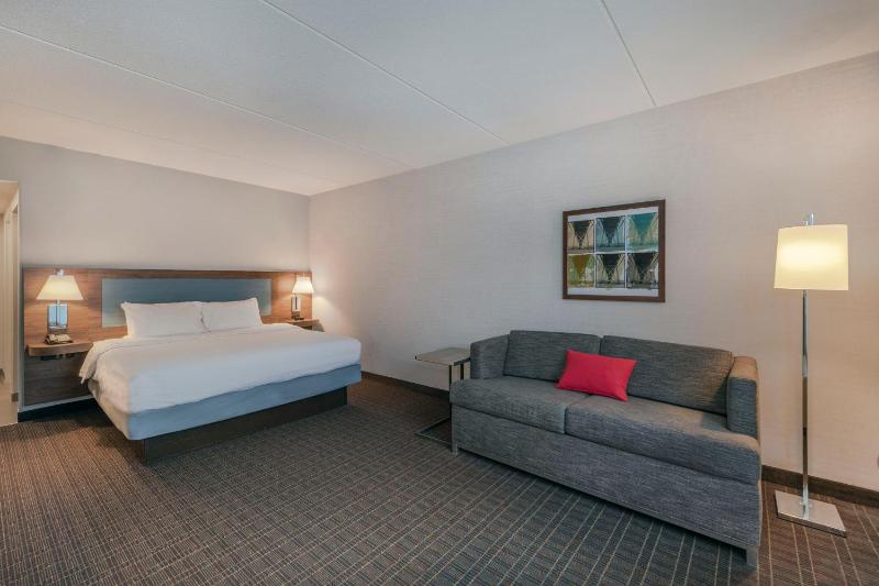 Deluxe King Room with Sofa Bed - Non-Smoking image 4