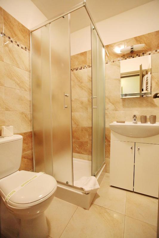 One-Bedroom Apartment image 2