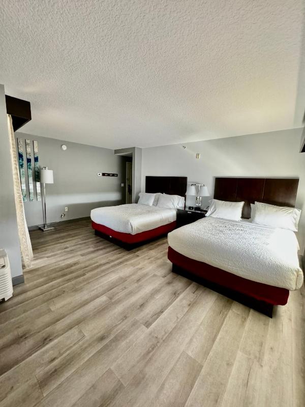Queen Room - Partial Ocean View  image 4
