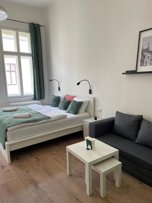 Main Square Apartments - U Mamlasů - image 30