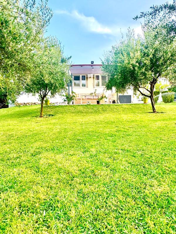 Villa Katerina - image 9