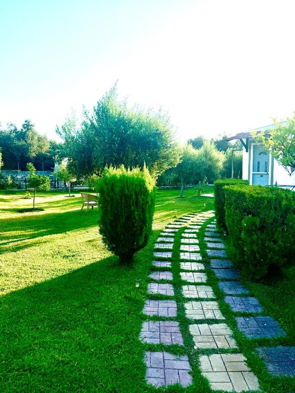 Villa Katerina - image 13