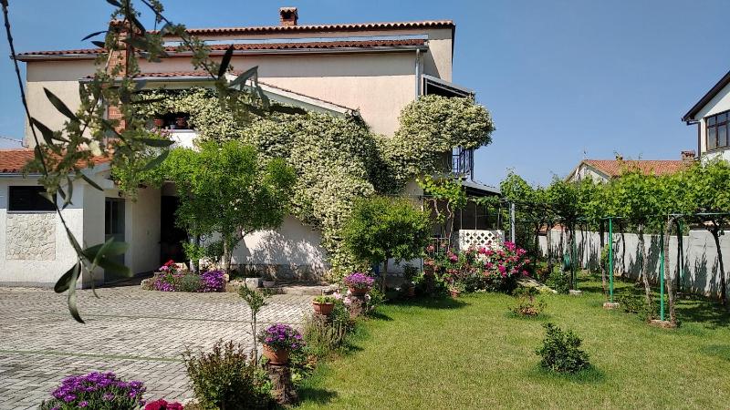 Apartments Saša - pets friendly! - image 1