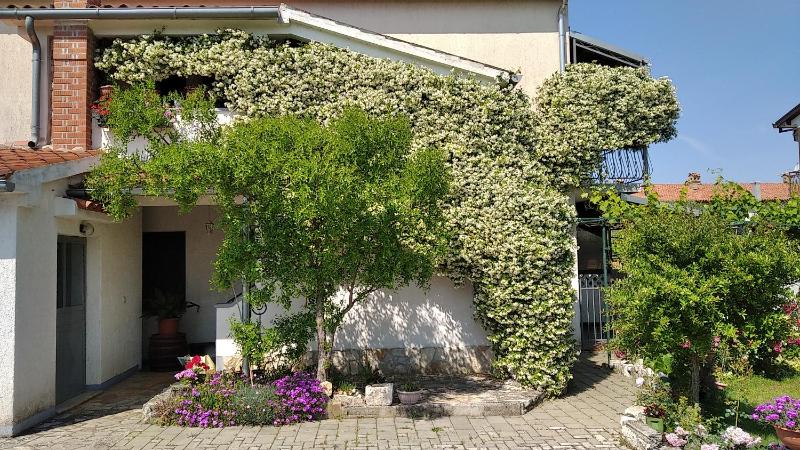 Apartments Saša - pets friendly! - image 9