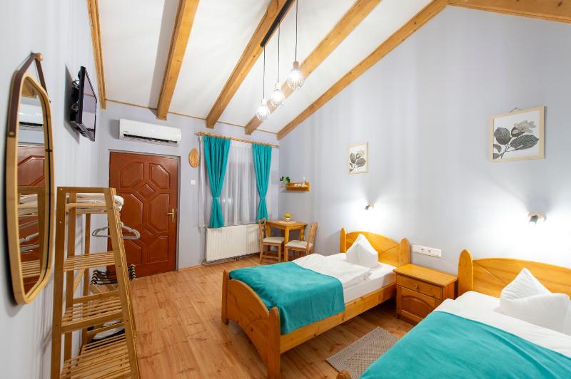 Twin Room image 1