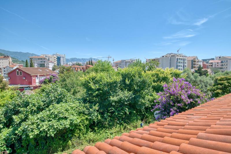 Apartment with Terrace image 4