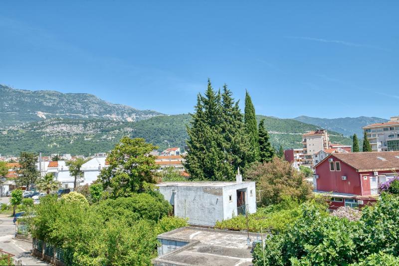 Apartment with Terrace image 3