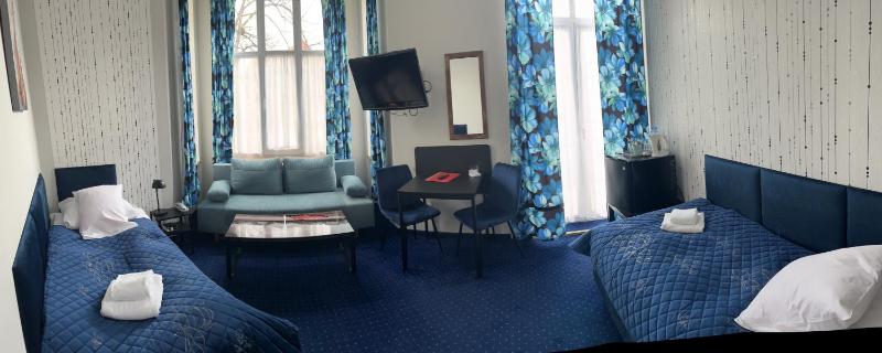 Deluxe Double or Twin Room image 4