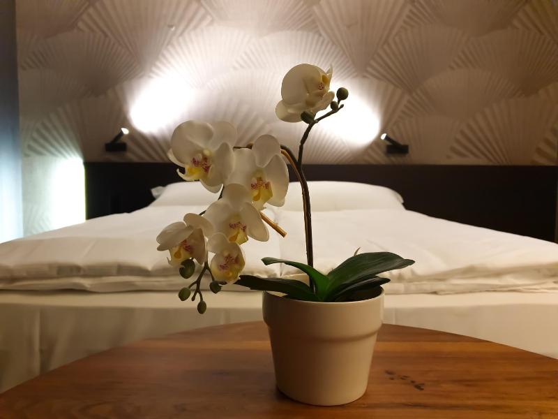 Deluxe Suite image 3