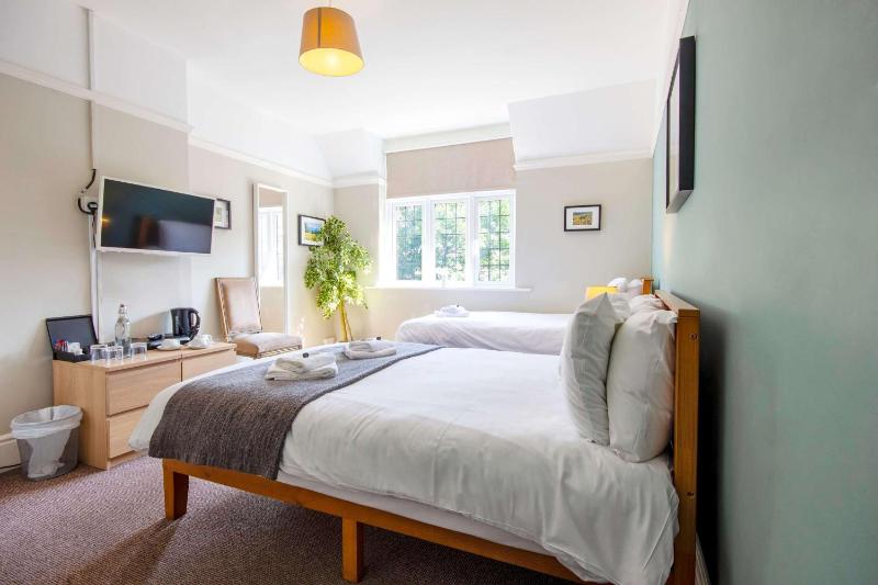 Standard Triple Room image 2