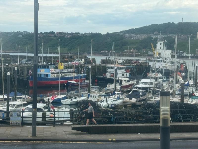 Ivy By The Sea - image 24