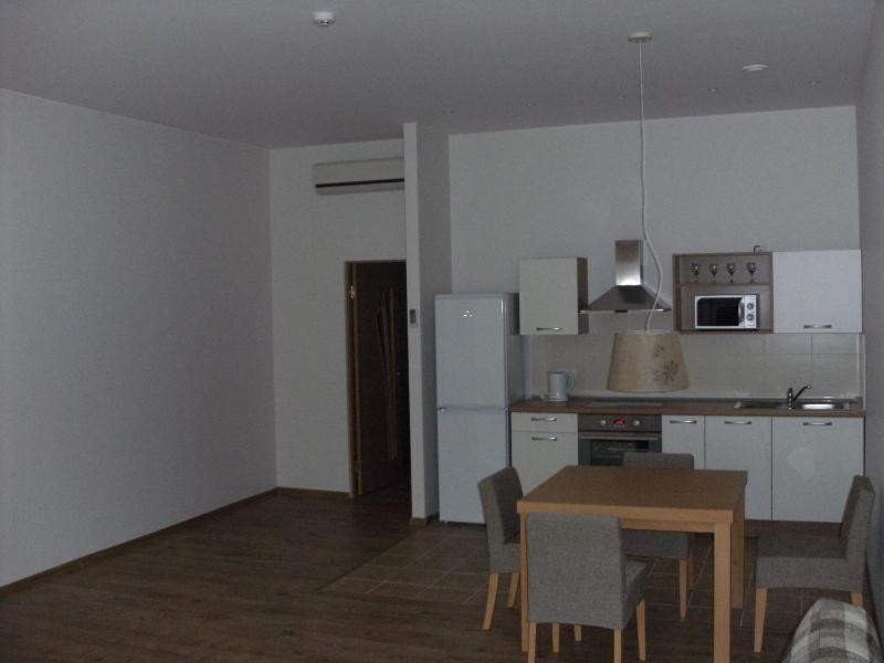 One-Bedroom Apartment image 3